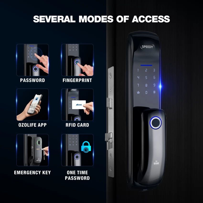 WhatsApp Image 2025-09-24 at 10.26.22_666dbac1